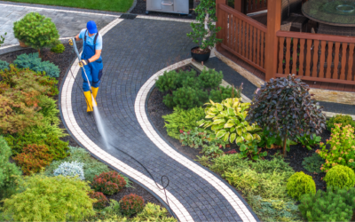 Spring Deep Clean: Paver Maintenance After Texas Winter Weather