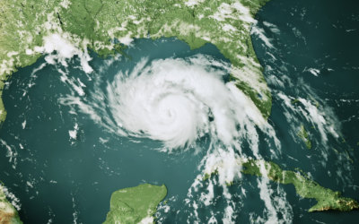 Hurricane Prep: Protecting and Maintaining Pavers During Storm Season