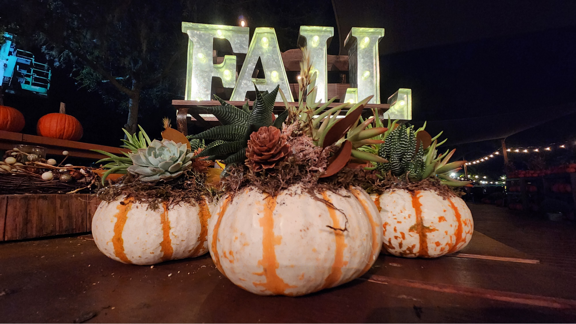 Fall Patio Parties: Preparing Your Space for Cooler Texas Evenings