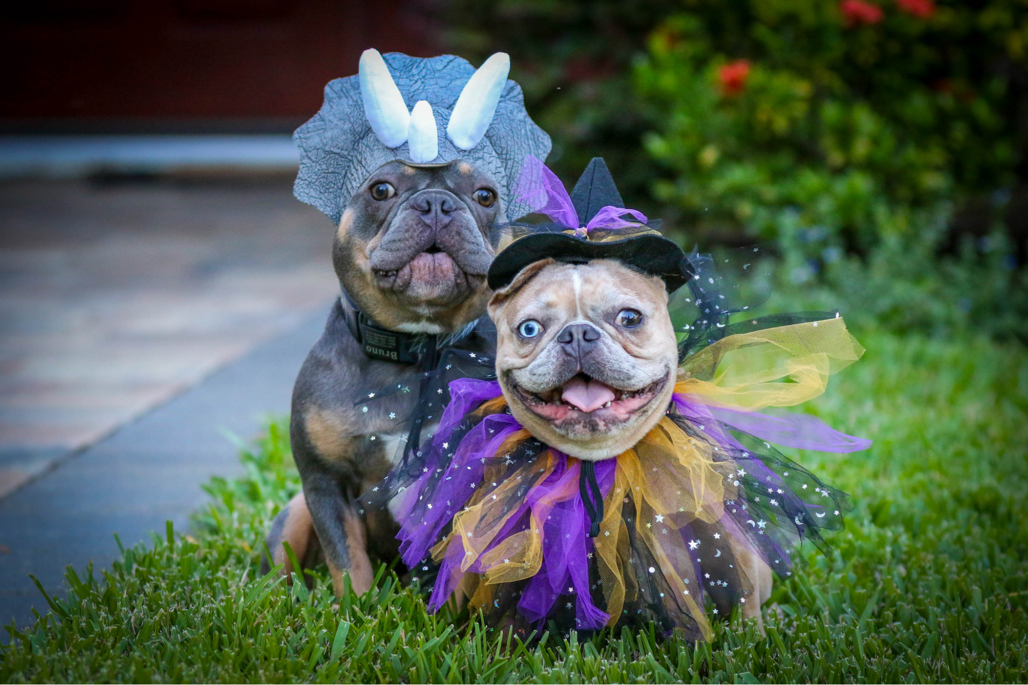 Halloween Driveway Safety